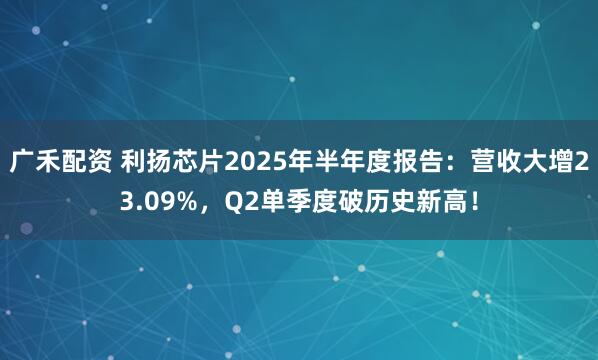 广禾配资 利扬芯片2025年半年度报告：营收大增23.09%，Q2单季度破历史新高！