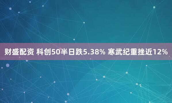 财盛配资 科创50半日跌5.38% 寒武纪重挫近12%